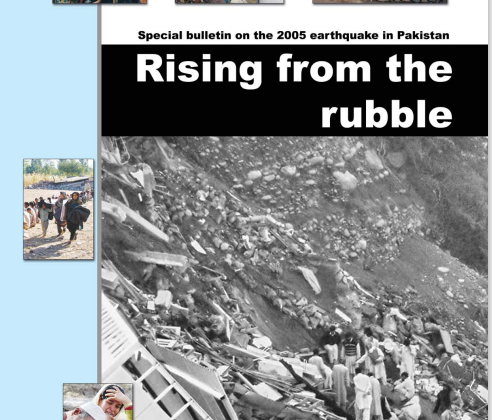 Rising from the Rubble